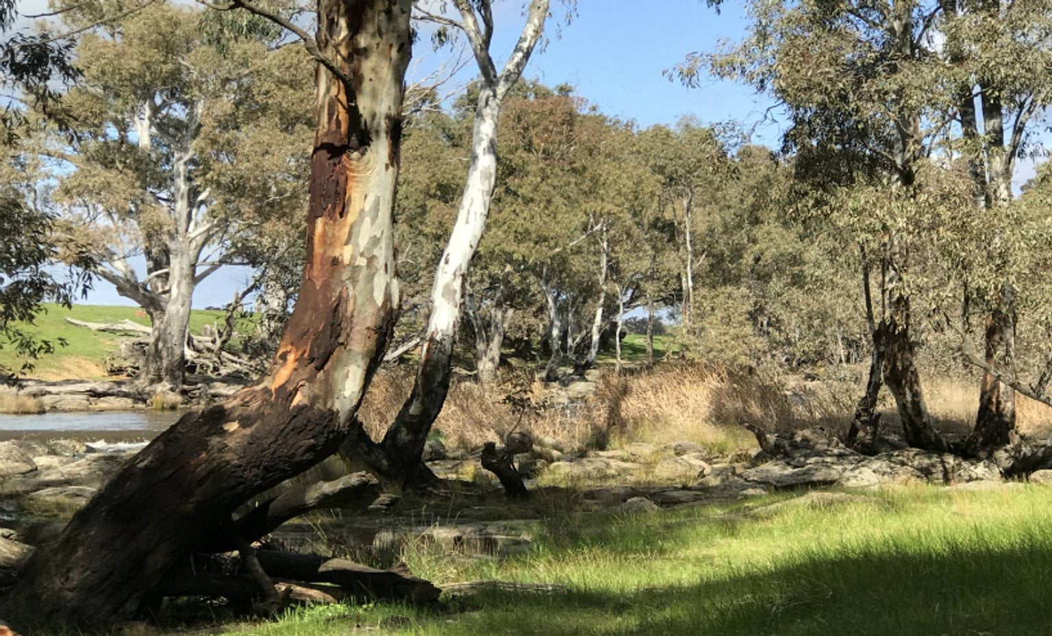 Campaspe River, Dja Dja Wurrung Country Campaspe River, Dja Dja Wurrung Country