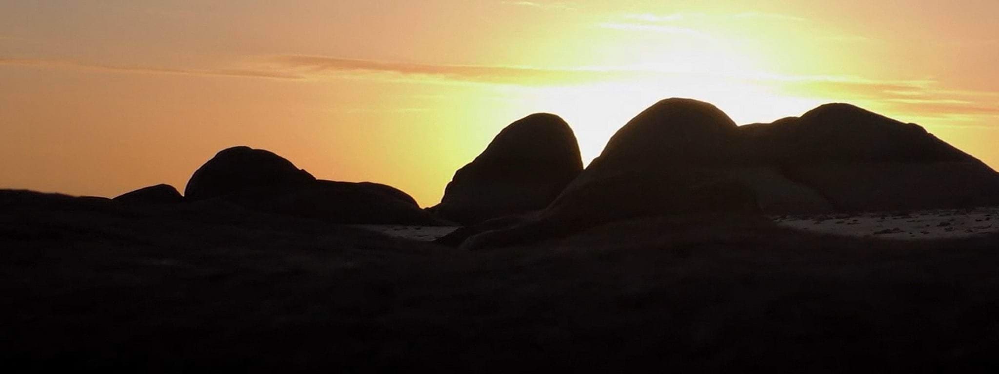 Returning Our Ancestors Returning Our Ancestors