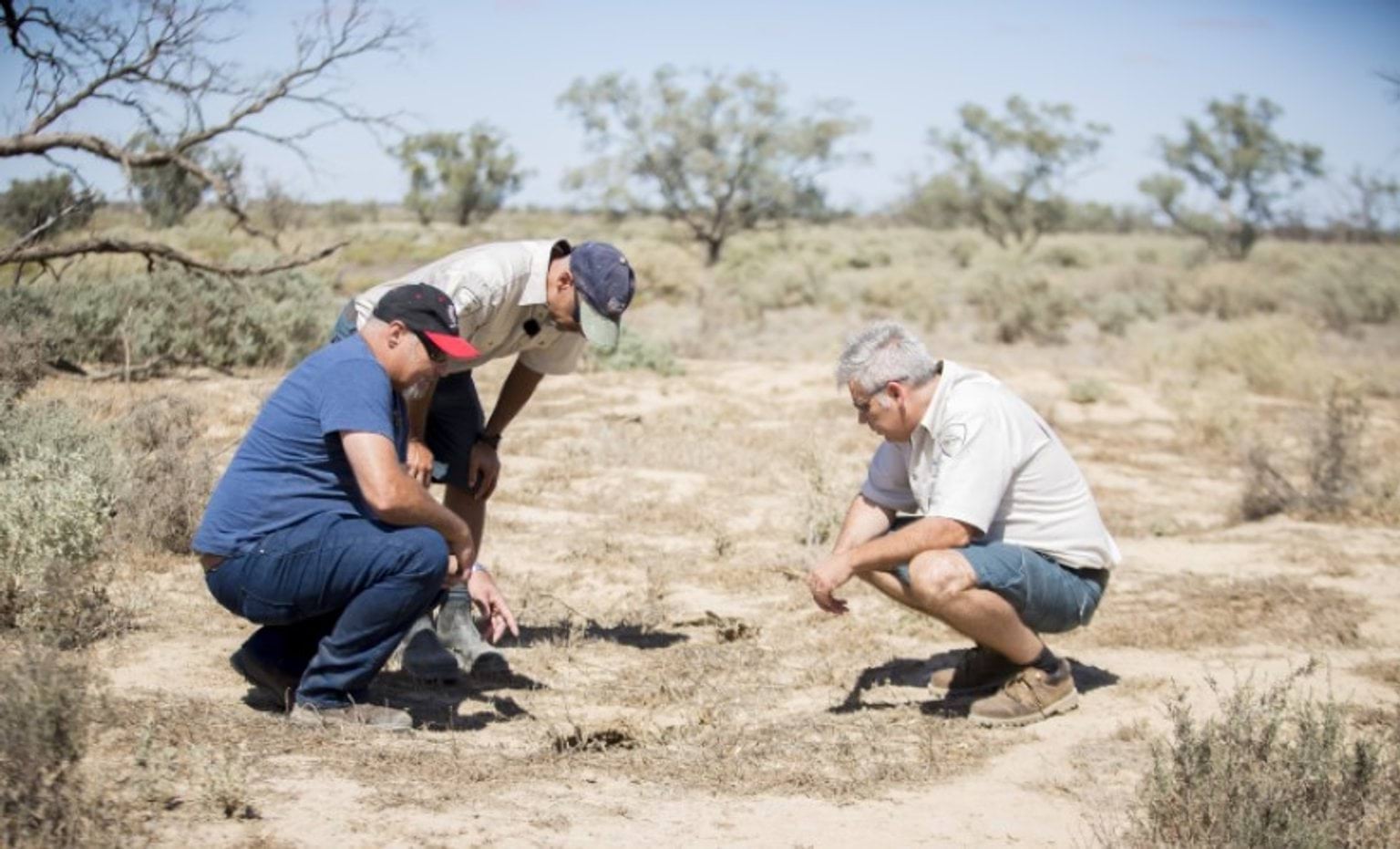 Darren Perry, Damien Jackson and Peter Foster in the documentary Returning our Ancestors Darren Perry, Damien Jackson and Peter Foster in the documentary Returning our Ancestors