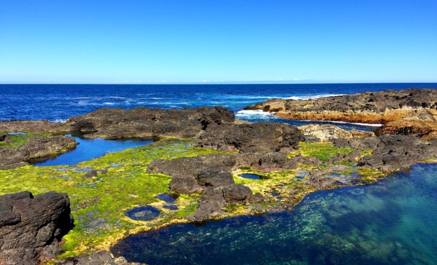 'Coast' by Nicholas Cole (Freediving and snorkel at Cape Schanck)